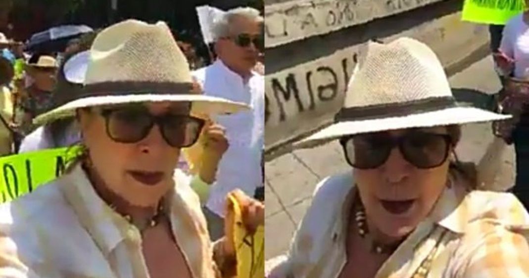 Laura Zapata asiste a marcha contra AMLO y le llueven críticas en redes
