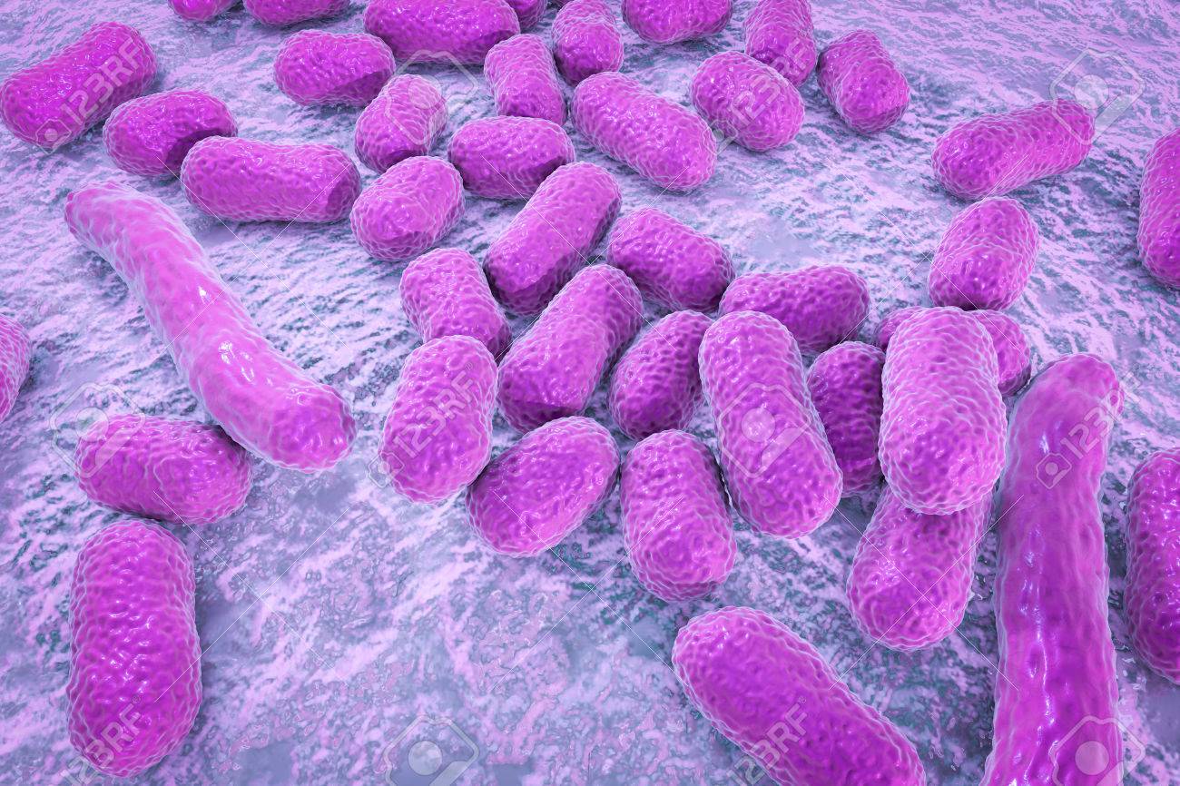 Ya son 11 los bebés fallecidos a causa de la bacteria Acinetobacter baumannii