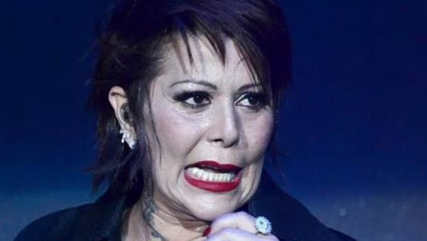 Los ladrones se llevaron una camioneta y articulos de valor de una caja fuerte