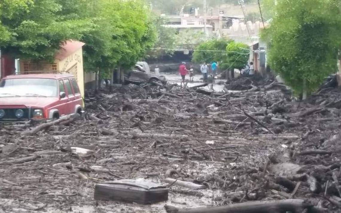 La tala ilegal de árboles, factor detonante en el desbordamiento del río en San Gabriel