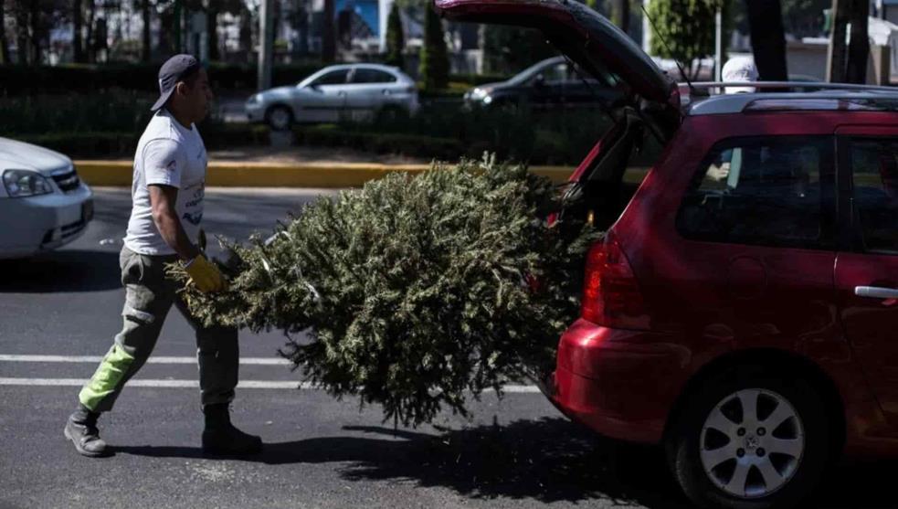 ¿Cuándo se quita el arbolito de navidad? Aquí te contamos…