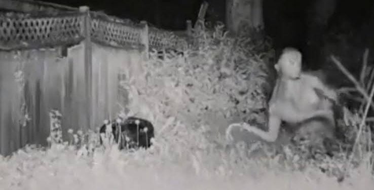 VIDEO: ¿Alíen real o inteligencia artificial?, captan a un supuesto extraterrestre en Las Vegas, Nevada
