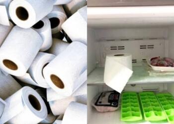 VIDEO: Por esta razón deberías meter el papel de baño al refrigerador