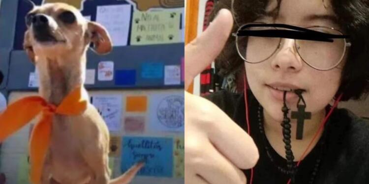 Exigen justicia para ‘Huellitas’ el perrito al que una joven le quitó cruelmente la vida solo por diversión