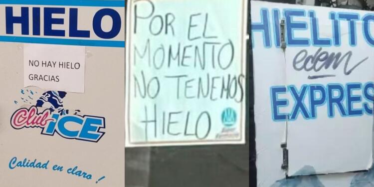 Processed with MOLDIV