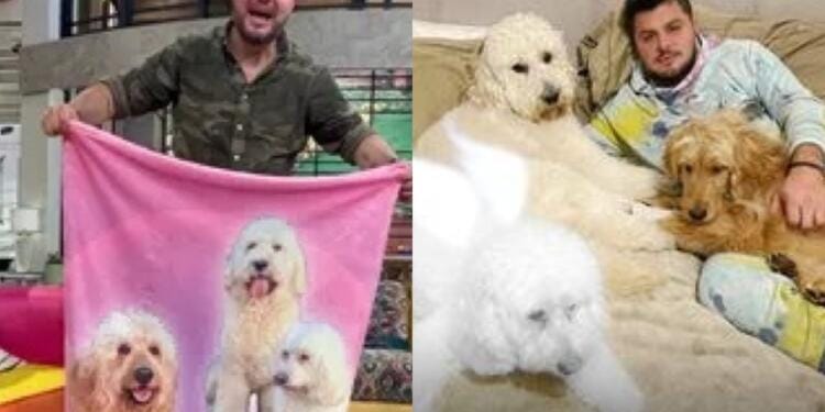 Processed with MOLDIV