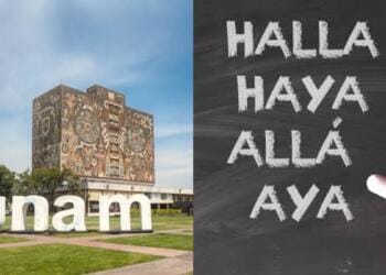 Processed with MOLDIV