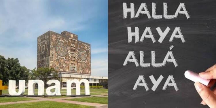 Processed with MOLDIV