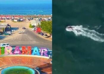 VIDEO: Captan supuesto ‘MONSTRUO marino’ en playa Miramar en Tamaulipas