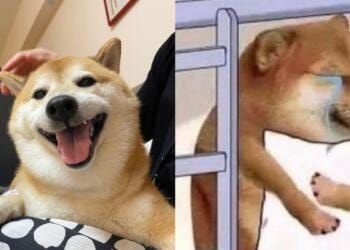 Processed with MOLDIV