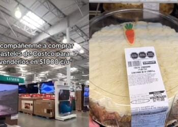 Processed with MOLDIV