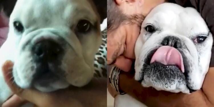 Processed with MOLDIV