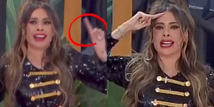 Processed with MOLDIV