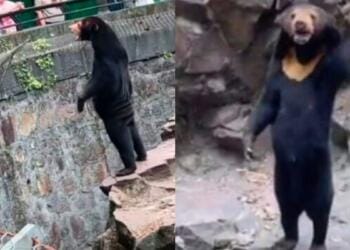 Processed with MOLDIV