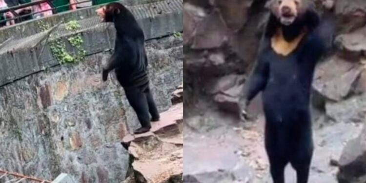 Processed with MOLDIV