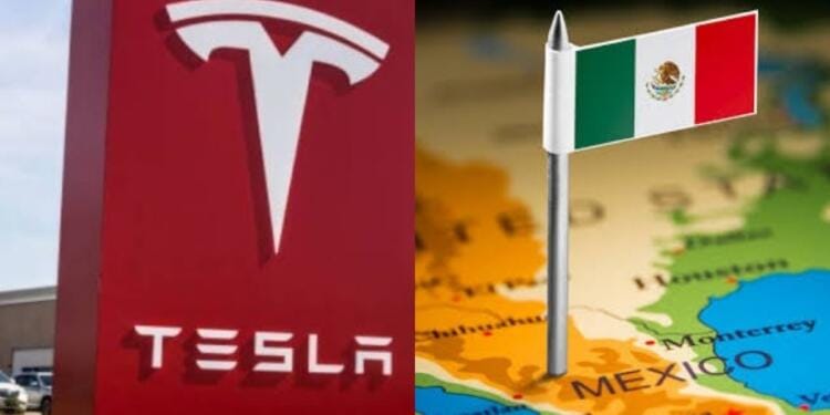 Processed with MOLDIV