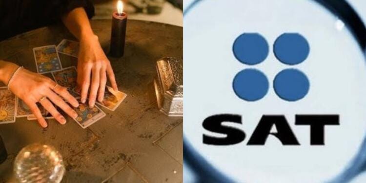 Processed with MOLDIV