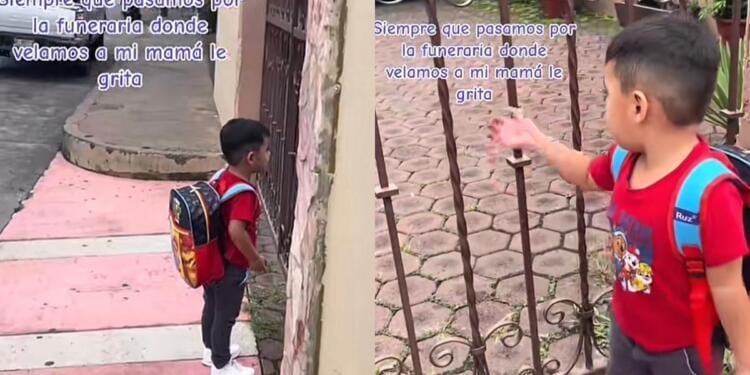 Processed with MOLDIV