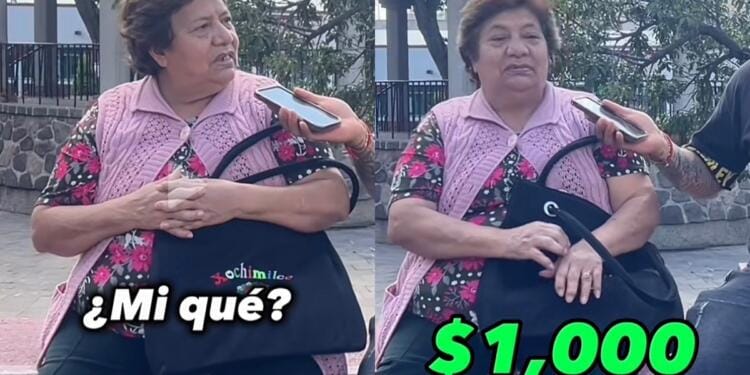 Processed with MOLDIV