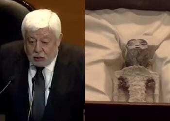 Processed with MOLDIV