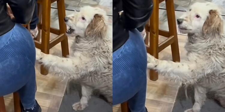 Processed with MOLDIV