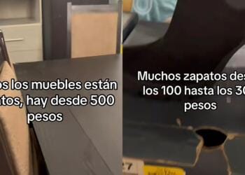 Processed with MOLDIV