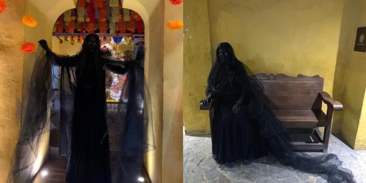 Processed with MOLDIV