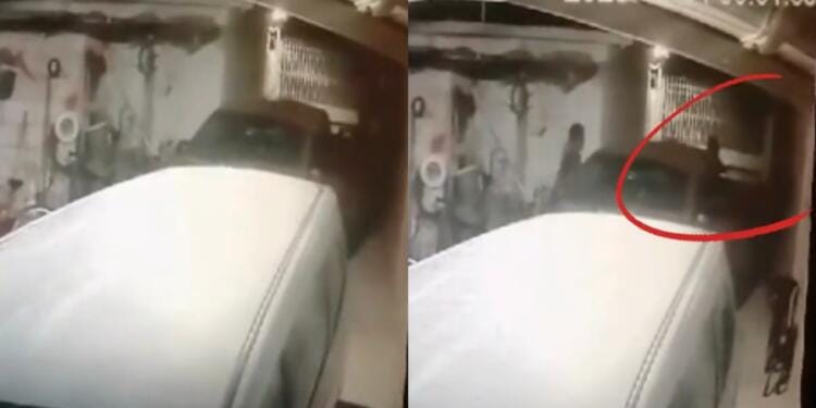 VIDEO: Cámara de seguridad capta a nahual transformándose en mujer en Coahuila