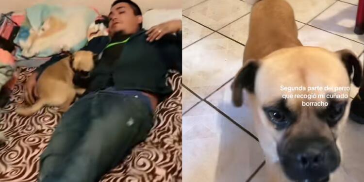 Processed with MOLDIV