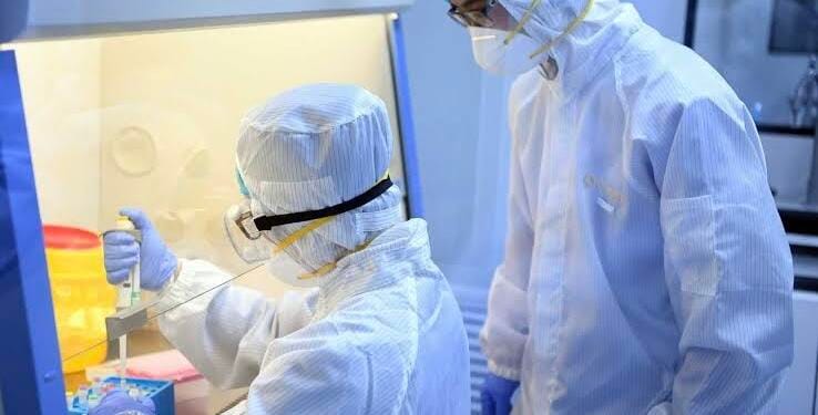 Alertan que científicos chinos experimentan con cepa mutante de COVID que daña el cerebro con 100% de mortalidad