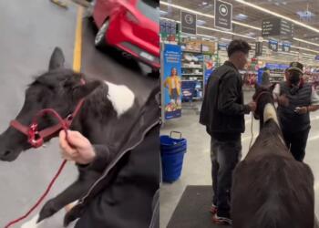 Processed with MOLDIV