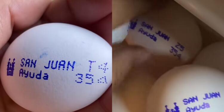 Processed with MOLDIV