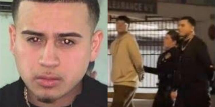 Processed with MOLDIV