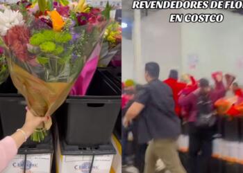 Processed with MOLDIV