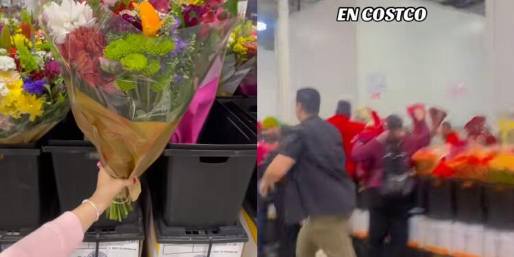 Processed with MOLDIV