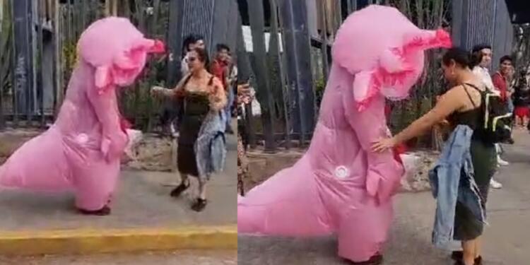 Processed with MOLDIV