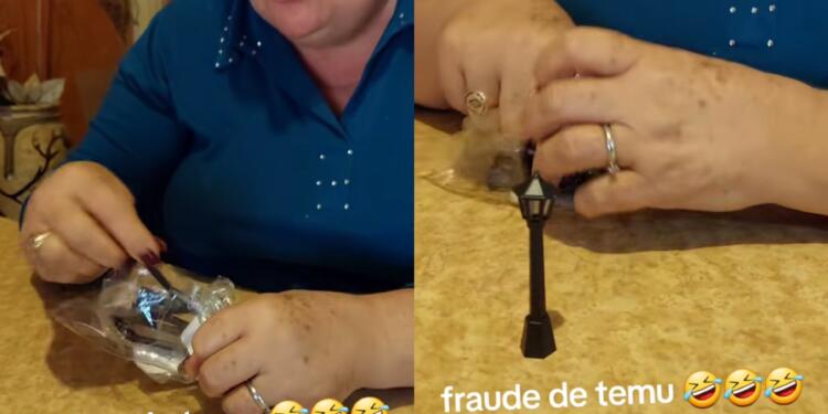 Processed with MOLDIV