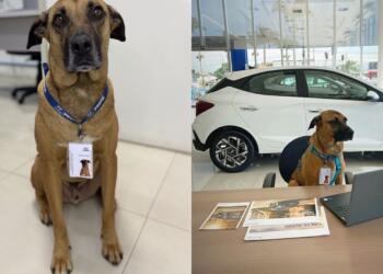 Processed with MOLDIV