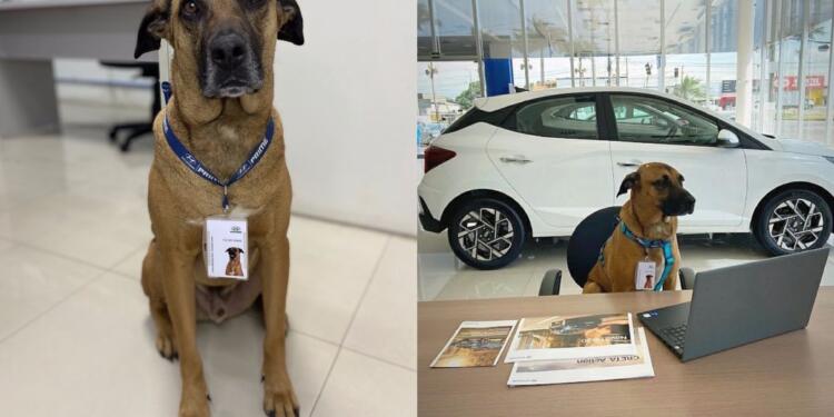 Processed with MOLDIV