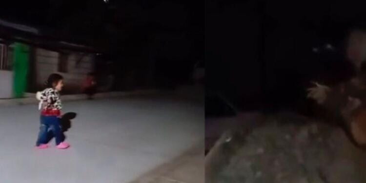 VIDEO: Captan aterradora criatura acechando a dos niños que jugaban a las escondidas