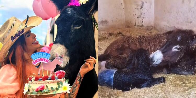 Processed with MOLDIV