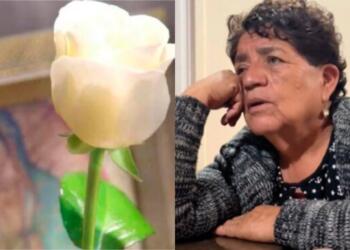 Processed with MOLDIV