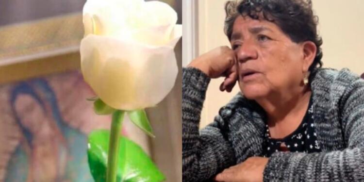 Processed with MOLDIV