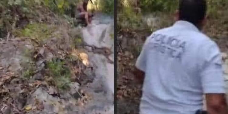 Processed with MOLDIV