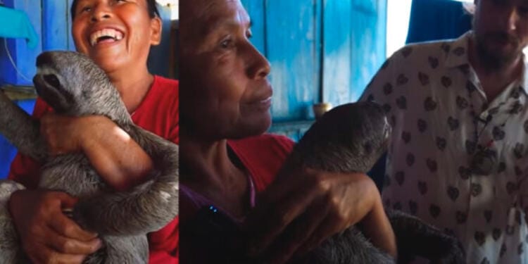 VIDEO: Luisito Comunica visita casa donde tenían animales salvajes y luego denuncia a los dueños