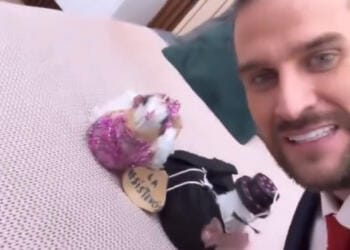 VIDEO: Clovis se reúne con Petunia y Jacinto