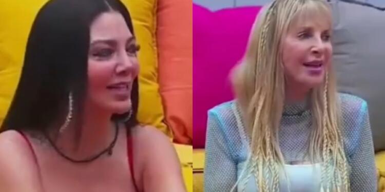 Processed with MOLDIV