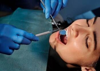Universidad de Pennsylvania lanza curso de ODONTOLOGÍA en línea y totalmente GRATUITO