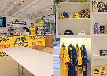 Processed with MOLDIV