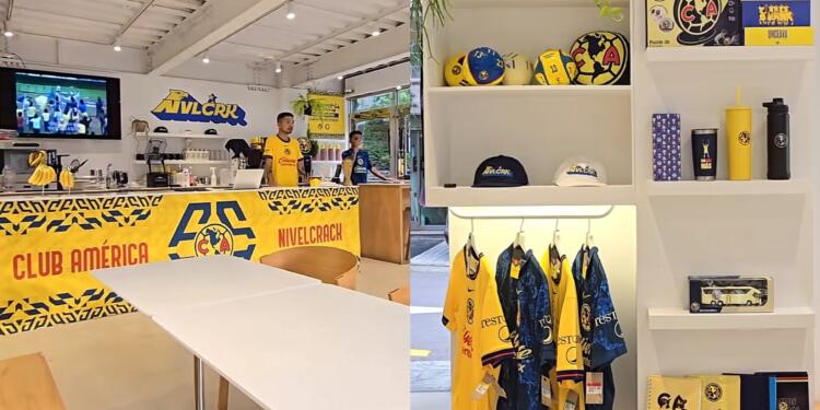 Processed with MOLDIV